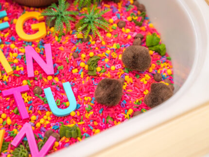 Chicka Chicka Alphabet Sensory Bin with colorful sensory filler, alphabet letters, coconut container, palm trees, pom-pom coconuts and wooden scoop