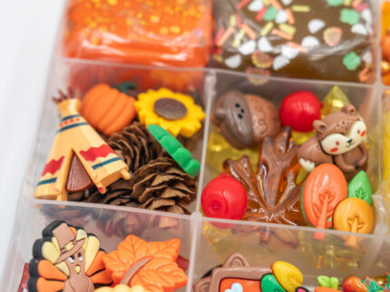 Deluxe Thanksgiving Play-Doh Kit with fall-colored dough, turkeys, pumpkins, leaves, sunflowers, gems and Thanksgiving accessories