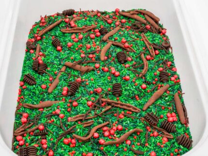 Holly Woods Sensory Filler with green rice, red berry-inspired accents, and brown woodland pieces for Christmas sensory play