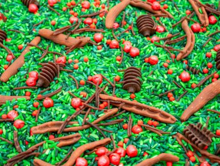 Holly Woods Sensory Filler with green rice, red berry-inspired accents, and brown woodland pieces for Christmas sensory play