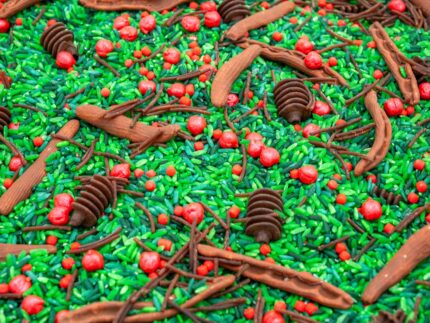 Holly Woods Sensory Filler with green rice, red berry-inspired accents, and brown woodland pieces for Christmas sensory play