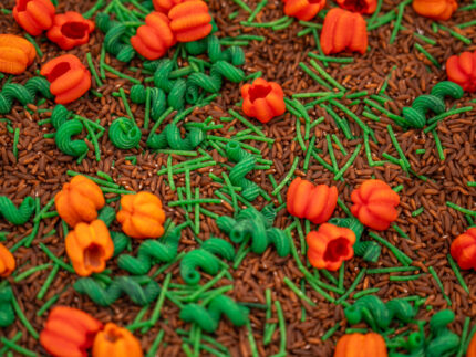Pumpkin Patch Sensory Filler with brown rice, green pasta vines and colorful pumpkin-shaped pasta for fall sensory play