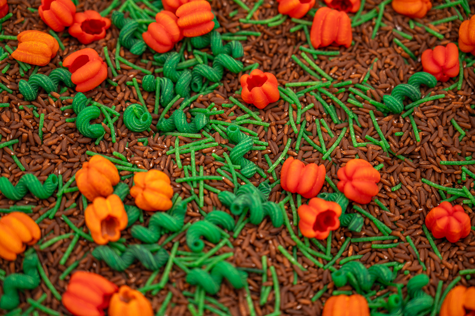 Pumpkin Patch Sensory Filler-1 Pumpkin Patch Sensory Filler with brown rice, green pasta vines and colorful pumpkin-shaped pasta for fall sensory play