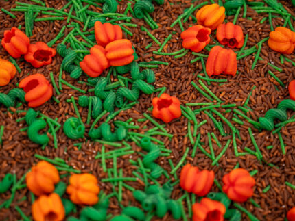 Pumpkin Patch Sensory Filler with brown rice, green pasta vines and colorful pumpkin-shaped pasta for fall sensory play