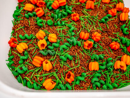 Pumpkin Patch Sensory Filler with brown rice, green pasta vines and colorful pumpkin-shaped pasta for fall sensory play