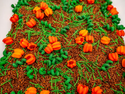 Pumpkin Patch Sensory Filler with brown rice, green pasta vines and colorful pumpkin-shaped pasta for fall sensory play
