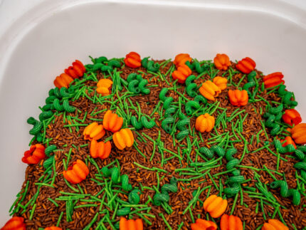 Pumpkin Patch Sensory Filler with brown rice, green pasta vines and colorful pumpkin-shaped pasta for fall sensory play