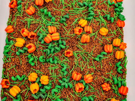 Pumpkin Patch Sensory Filler with brown rice, green pasta vines and colorful pumpkin-shaped pasta for fall sensory play