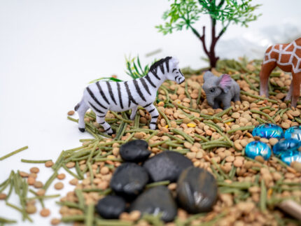 Safari Budget Bag with split peas, dyed pasta, lion, giraffe, elephant, zebra, tree, bushes, rocks, blue flat-back marbles, and wooden scoop