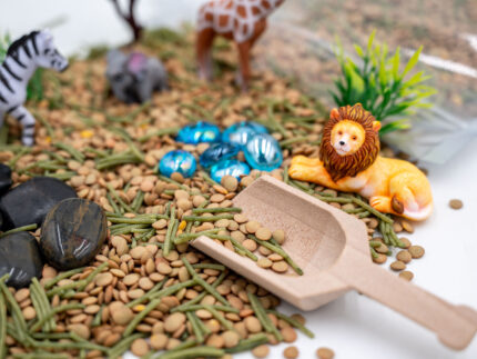 Safari Budget Bag with split peas, dyed pasta, lion, giraffe, elephant, zebra, tree, bushes, rocks, blue flat-back marbles, and wooden scoop